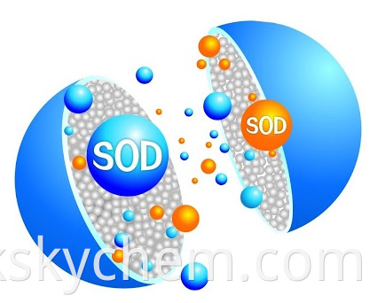 Superoxide Dismutase Powder SOD CAS 9054-89-1